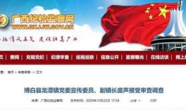 南宁爆料最新消息新闻,突发事件引发关注，详情即将揭晓