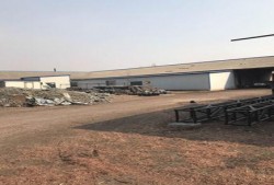 德惠松柏最新爆料,揭秘行业最新动态与趋势