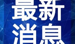丹东饭店爆料视频大全最新,揭秘幕后真相与惊人内幕